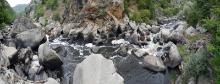Cerna river