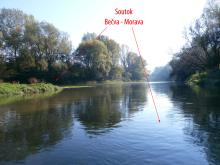dyje12_48