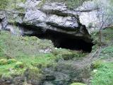 Vrelo Tounjica