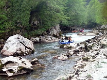 krivaja40