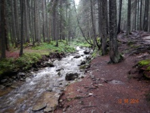 hoverla 12