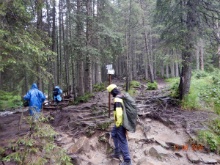 hoverla 13