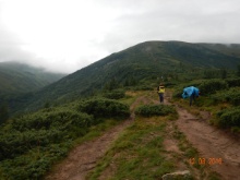 hoverla 15
