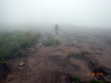 hoverla 17