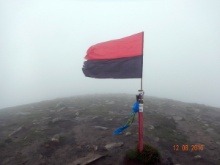 hoverla 20
